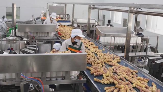 吉林省預制菜產業 乘政策東風，駛入高質量發展快車道
