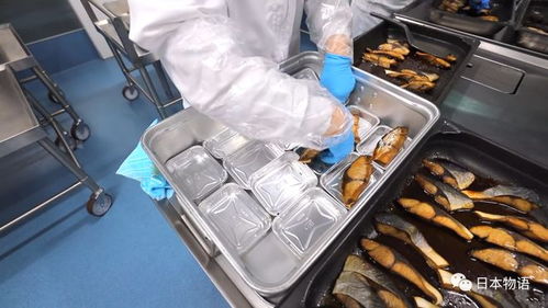 日本中小學午餐背后的科技與匠心 食品加工廠的標準化生產探秘