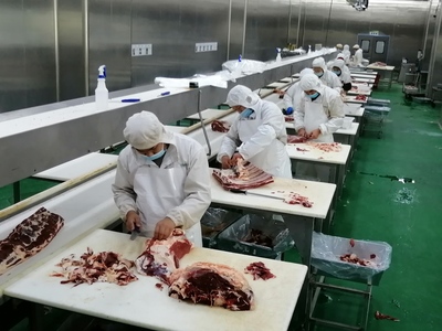 新時代的“庖丁”——新疆創(chuàng)錦福云食品牛肉分割與保健食品生產(chǎn)掠影