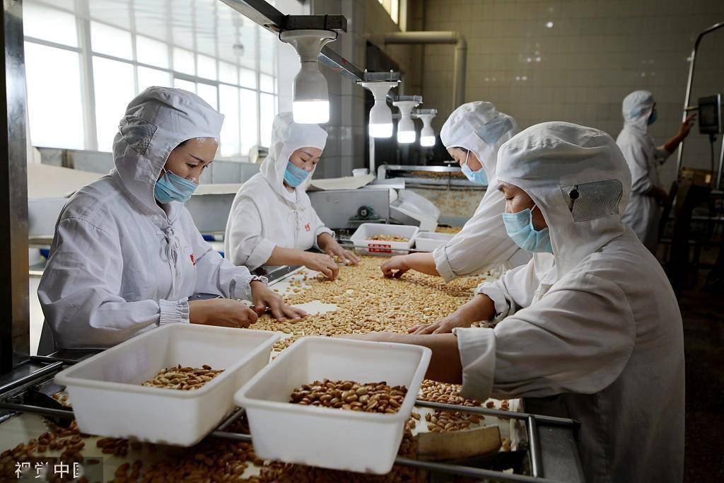臨沂食品企業(yè) 深加工花生，提升農(nóng)產(chǎn)品附加值，打造國家保健食品生產(chǎn)新標桿